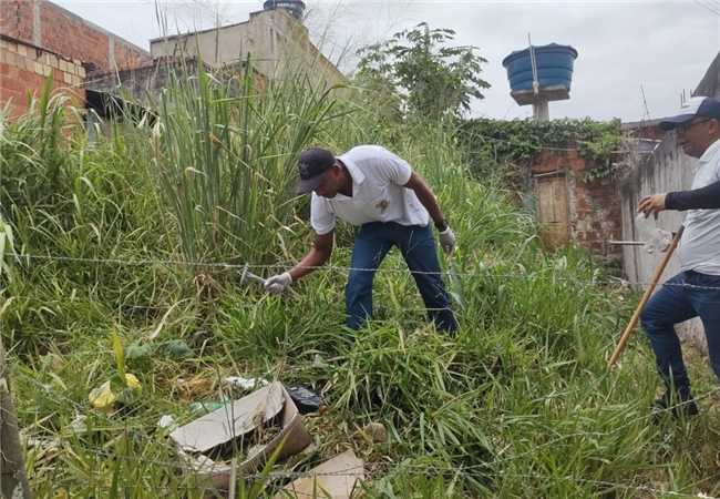 combate à dengue; endemias; sesau